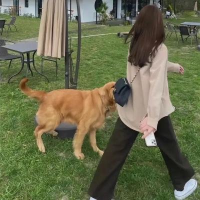 女人有话说第一季